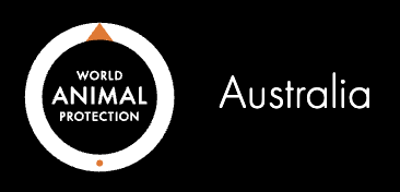 Screenshot 2025-11-19 at 8.40.43 AM